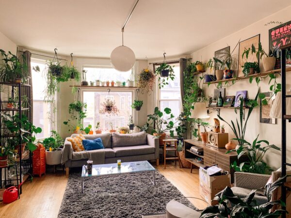 Quais plantas e flores ideias para o seu apartamento