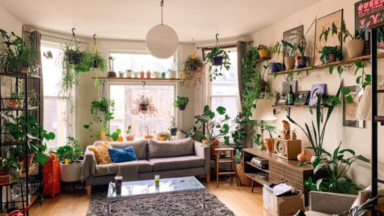 Quais plantas e flores ideias para o seu apartamento